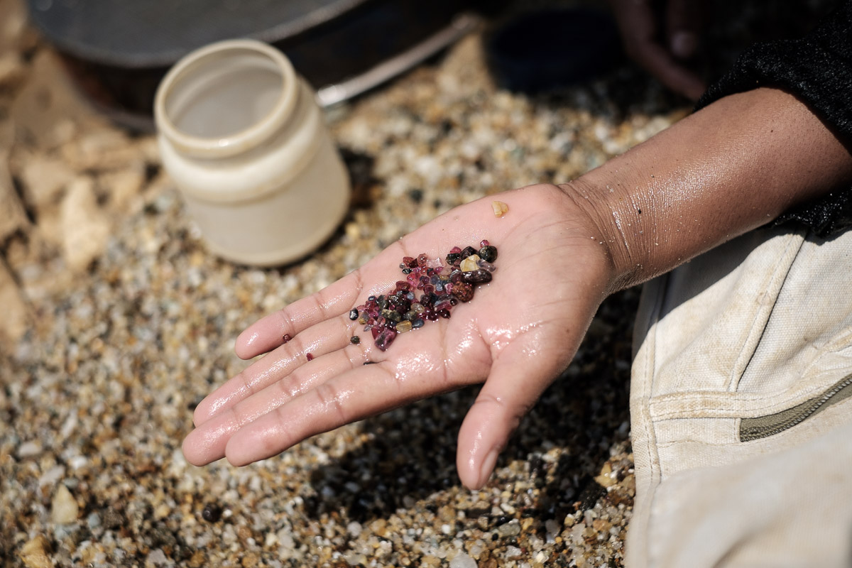 Mozambique's fiery red beauties