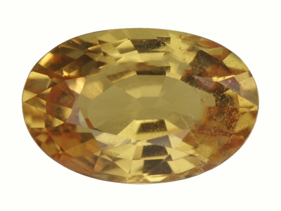 IGSF00137