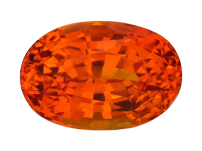 IGSF00491
