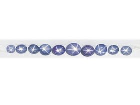 LPBC00016