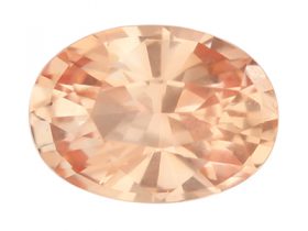 IGSF01115