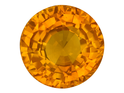 IGSF00487