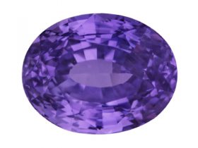 IGSF00254