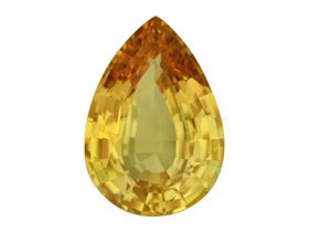 IGSF01180