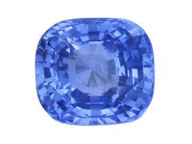 IGSS02981