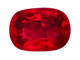 IGSR00919