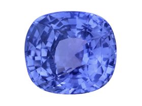IGSF01366