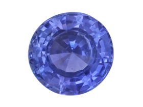 IGSF01371