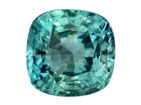 IGSM00028