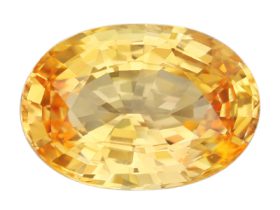 IGSF01373