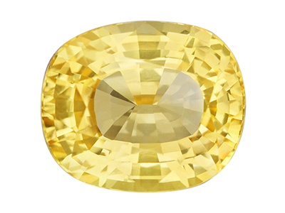 IGSY00466