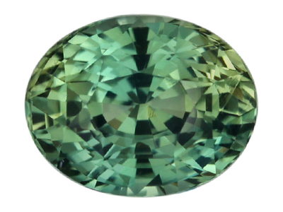 IGSF01447