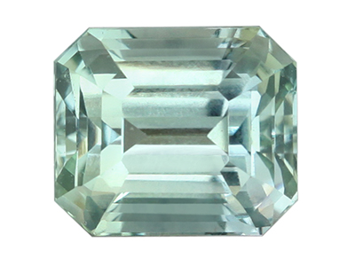 IGSF01449