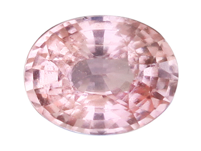 IGSF01460