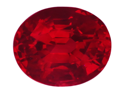 IGSR01005