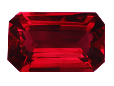 IGSR01013